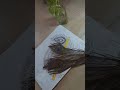 Krishna morpankh and bansuri mandala art drawing😍😍♥#trending  #shorts #krishna #mandalaart