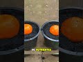 Cómo cosechar naranjas gigantes en tiempo récord 🍊⚡#naranjo