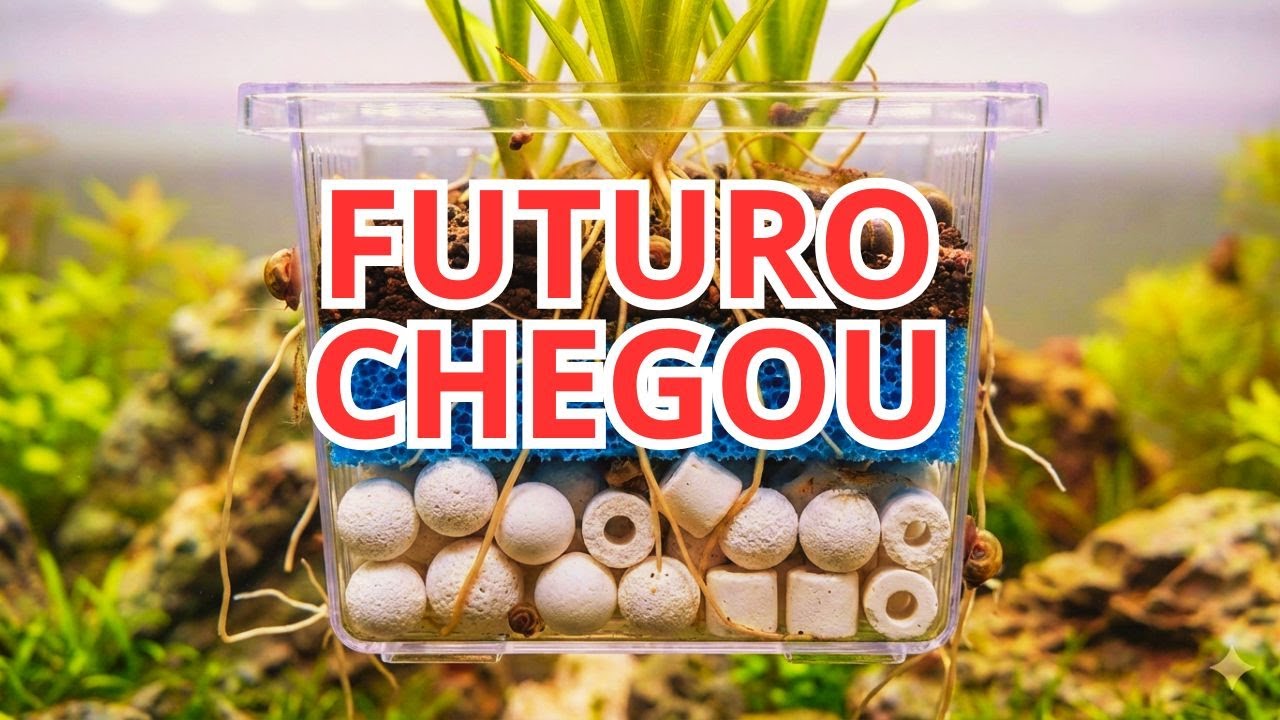 🧪 Cesta De Biocenose Aquarismo Sereno 05: Construindo o BIORREATOR Perfeito
