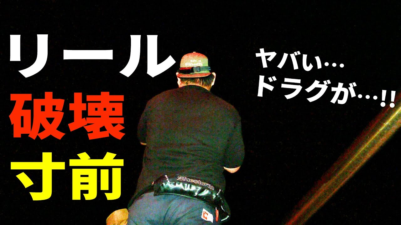 ヤバい！止まらない⁉夜の堤防でキジハタを狙っていたら、ヤバすぎるパワーの化け物が・・・