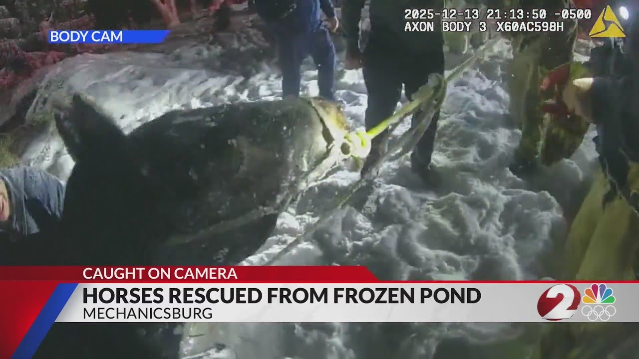 Mechanicsburg police rescue horses from icy pond