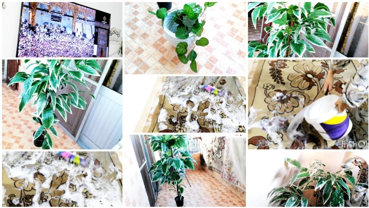 روتين الرغاوي وغسيل السجاد والروائح المنعشة مفيش احسن من ريحة النظافة والراحه النفسيه