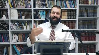 חידושים על פרשת צו הרב יוסף דיין