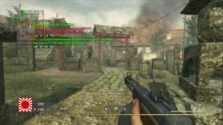 Treyarch, fix World at War