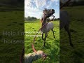 Horse Throws a Tantrum 😂😂😂