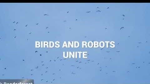 Nature-Inspired Robots: Navigating the World Without GPS