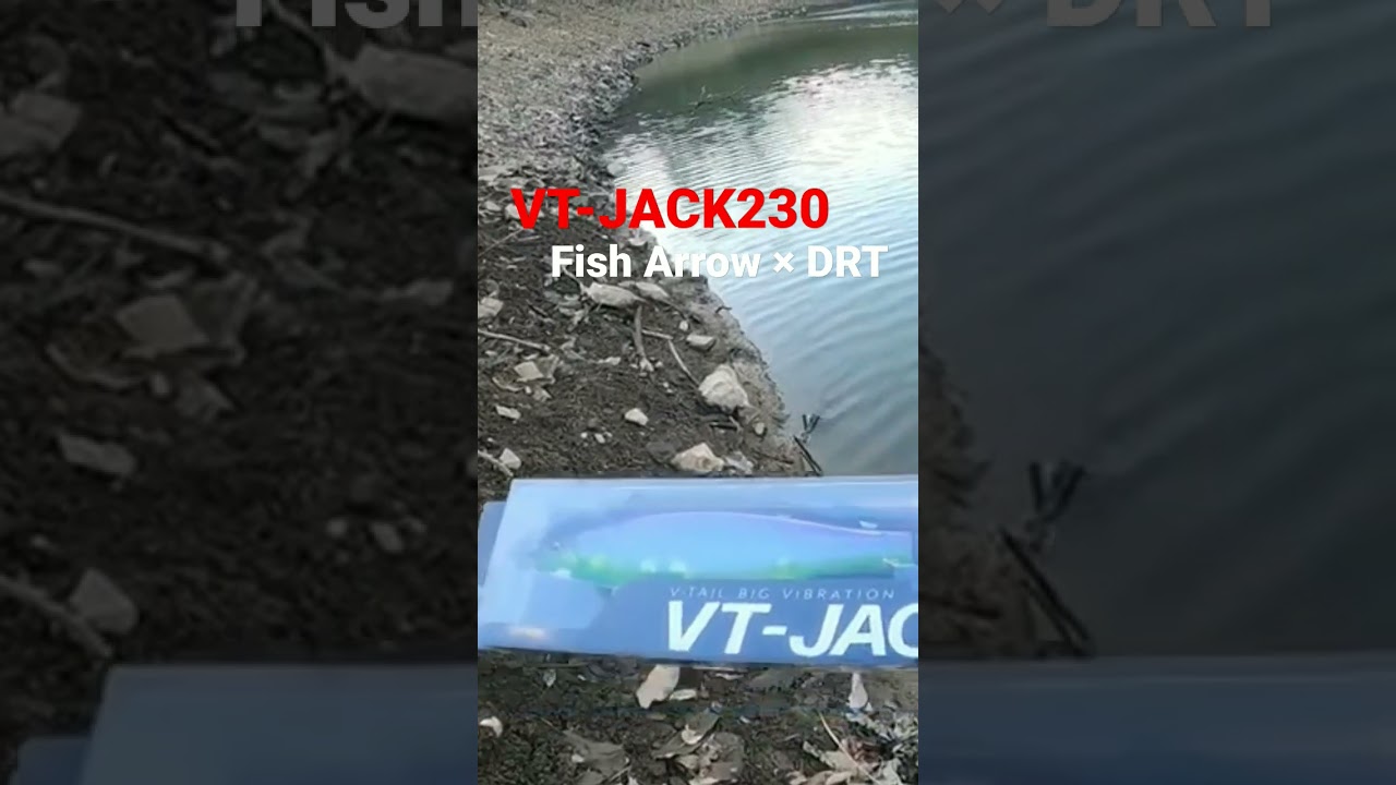 フィッシュアロー × DRT VTジャック230 みんな買った？🤔 インプレしてみた♪ バス釣り ビッグベイト