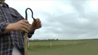 Our Shepherds Crook Logo - Romney Marsh Wools