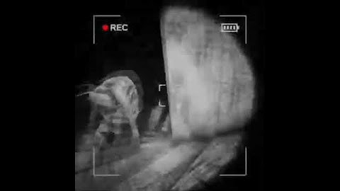 first time playing content warning with @Tommie_Darkstar and @AkariLilaVT #vtuber #envtuber