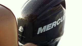 MERCURY VERADO 175 FOUR STROKE (38 NODI)