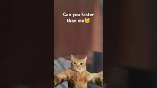 Download Lagu can you faster than me😼 MP3