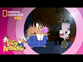 Iggy Arbuckle's Adventures and Decisions