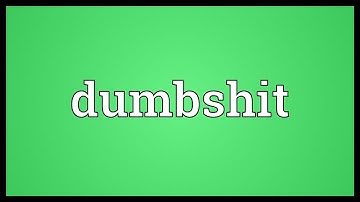 Dumbshit Meaning