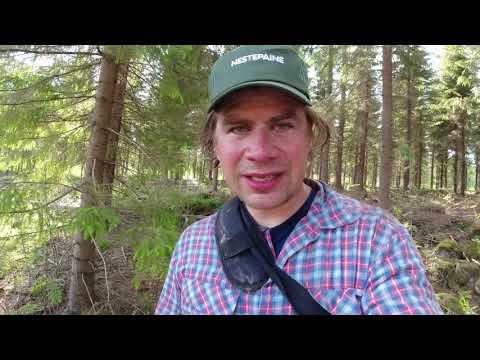 Forestry in Finland - Our Family Weekend Planting 6000 Spruces