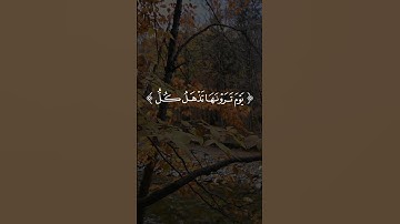 آيات سورة الحج بصوت القارئ فارس عباد #المغرب #العراق #السعودية #الجزائر  #اكسبلور #moroc #تيك_توك