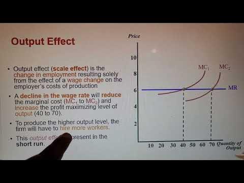 Output effect graph ( Labour Economics) - YouTube