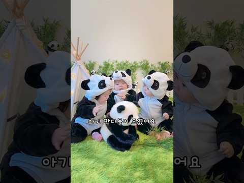 🐼 <strong>천방지축</strong> 아기 바오들 🤣