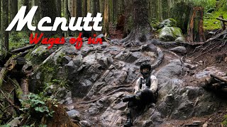 Chasing @maxmacievich | McNutt