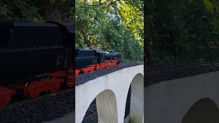 BR38 on the diaduct #gardenrailway #spur1 #marklin #railway #train