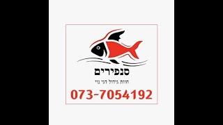 סניפירים חוות גידול דגי נוי - Live webinar פרק 4 בסדרה אצות בבריכת הנוי ובאקווריומים