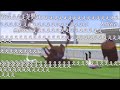 オーズop