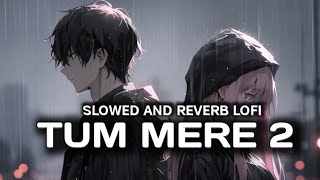 Tum mere 2 [slowed and reverb] song | triggered Insaan | fukra Insaan