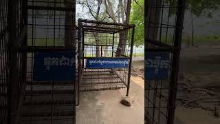 គុកដាក់អ្នកទោសតាម៉ុក