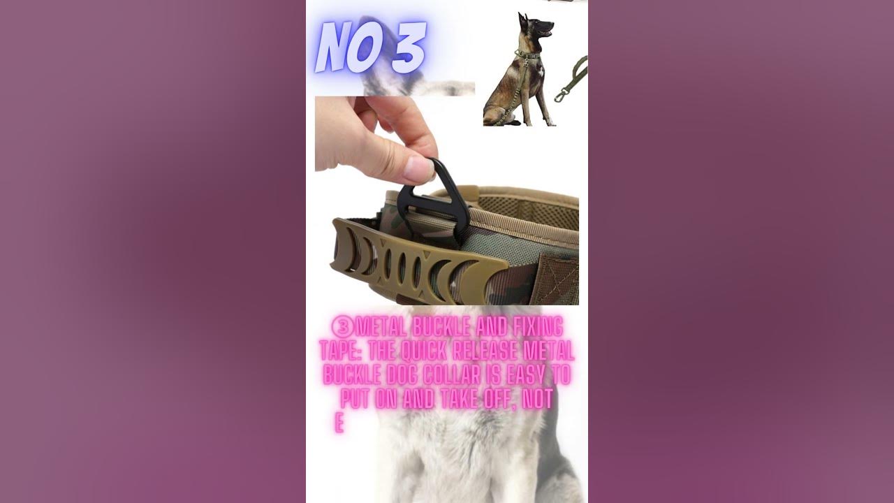 How to wear off leash k9 training e collar, Best dog training collar