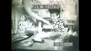 FIG NEWTON COMMERCIAL 1960