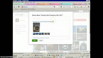 Picsasa 3.9 and Google Plus are not talking to each other