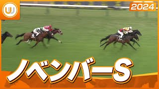 レース映像 ノベンバーステークス コントラポスト ?