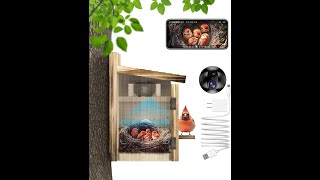 KinetCam Bird House with Camera (BW2) Installation Guide