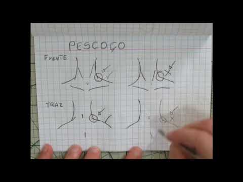 Vídeo: Como Desenhar Um Pescoço