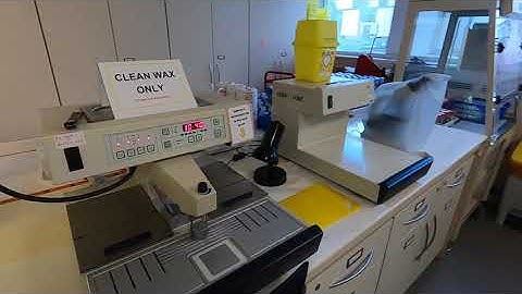 Welcome to Cellular Pathology