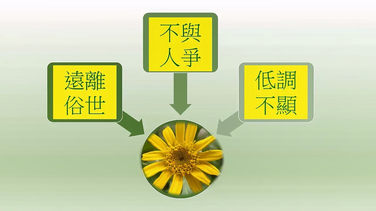 國八國文｜愛蓮說：全文統整（二）