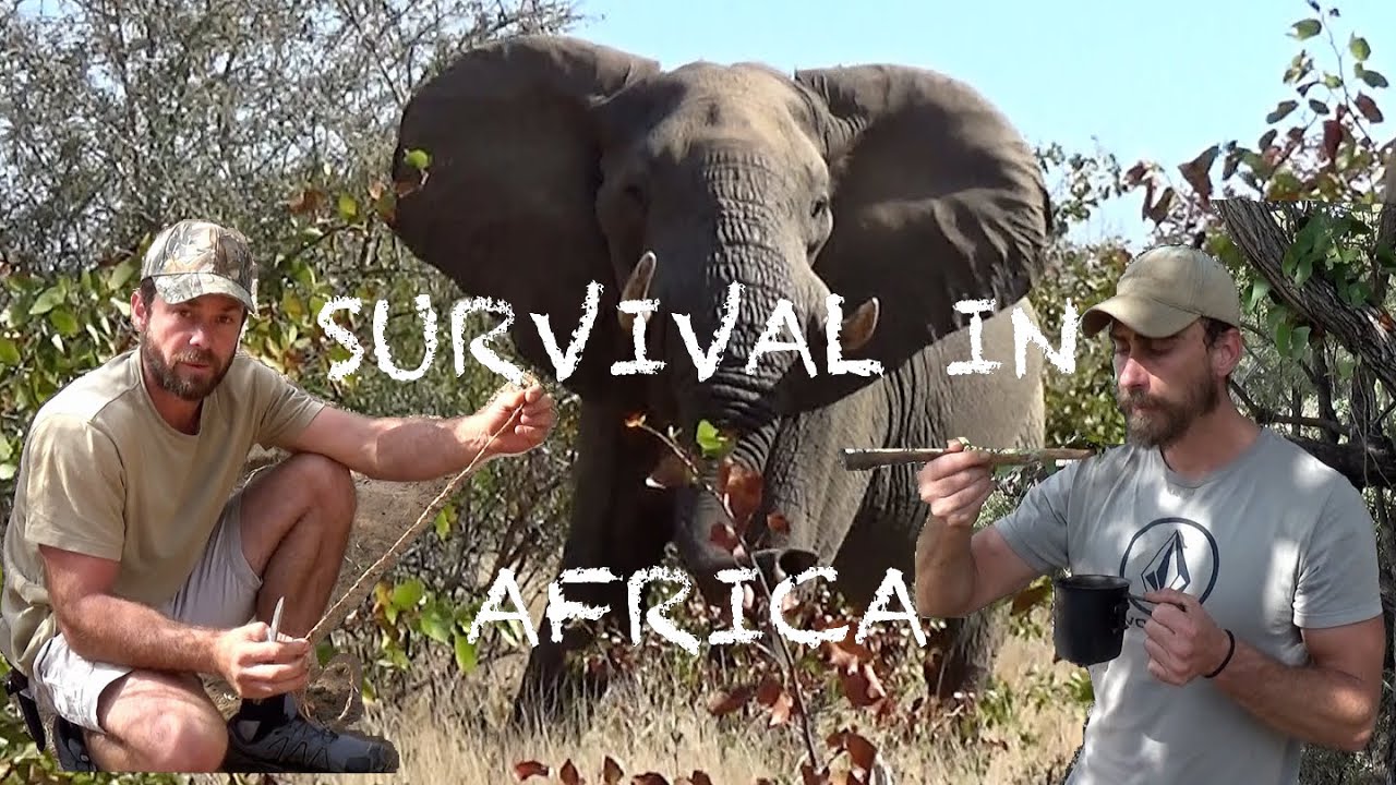 Survival Challenge Episode 3 Surviving the South African wilderness African Big 5 YouTube