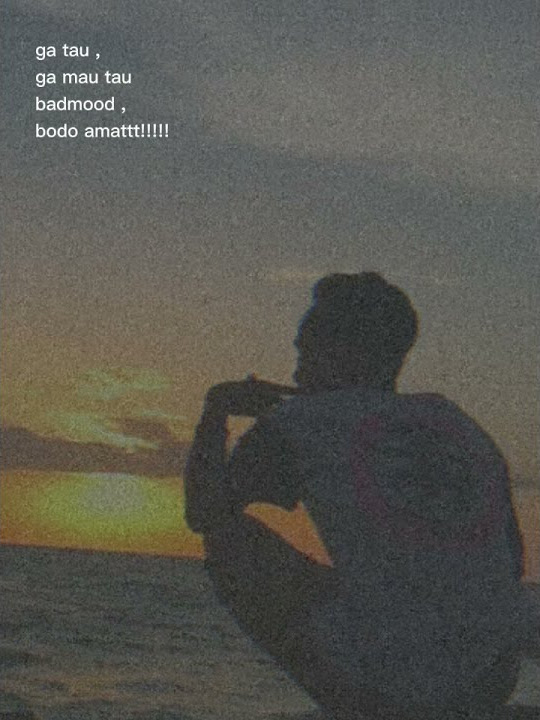 story wa 30 detik #shorts #fyp #bodoamat