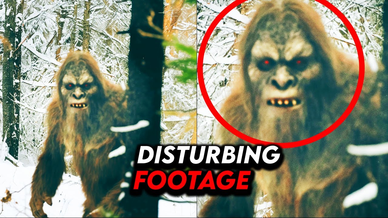 VIRAL Videos So Disturbing The Authorities Won't Investigate YouTube