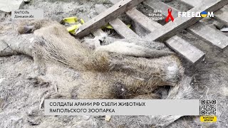 Оккупанты замучали животных в зоопарке Ямполя. Подробности