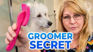 Line Brushing Tutorial for Poodles | Works on any Dog with Long or Curly Coats