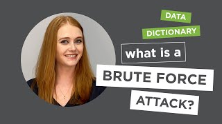 Data Dictionary: What is a Brute Force Attack?