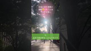 日本に来て地味に感動したこと。ベンチが多い🥺😭｜韓国人ドンちゃん