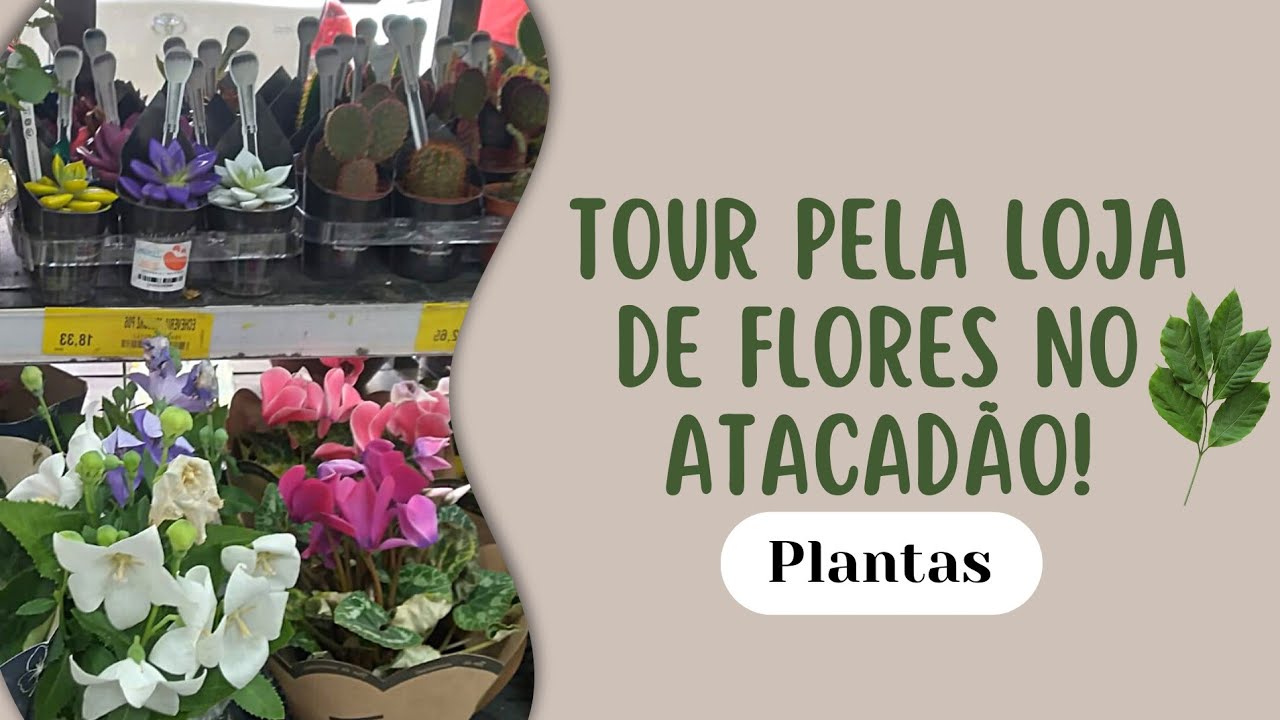 TOUR PELA LOJA DE FLORES NO ATACADÃO!! MUITA COISA LINDA!! - YouTube
