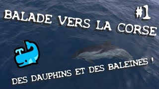 Balade En Mer 7 - Départ