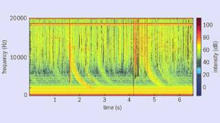 The sound of lightning from 11,000 km away