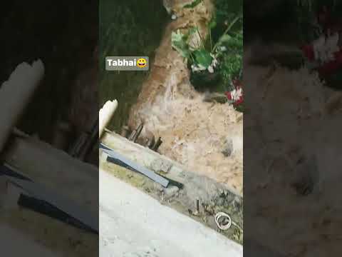 #viralvideo #riverside