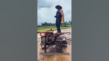 Plowing a Rice Field with a Hand Tractor