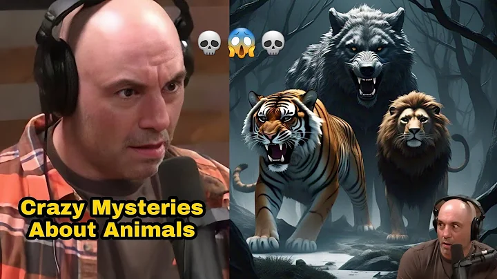 1 Hour of the Craziest Animal Stories Told on the Joe Rogan Podcast
