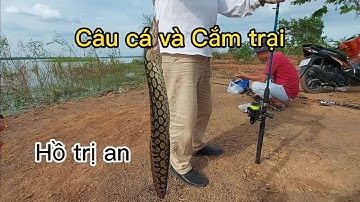 Câu cá và Cắm trại tại Hồ Trị An | Hoàn Phong Vlogs
