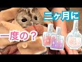 ふくろう、ネイルサロンへ行く